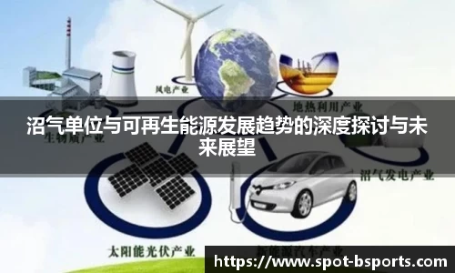 沼气单位与可再生能源发展趋势的深度探讨与未来展望